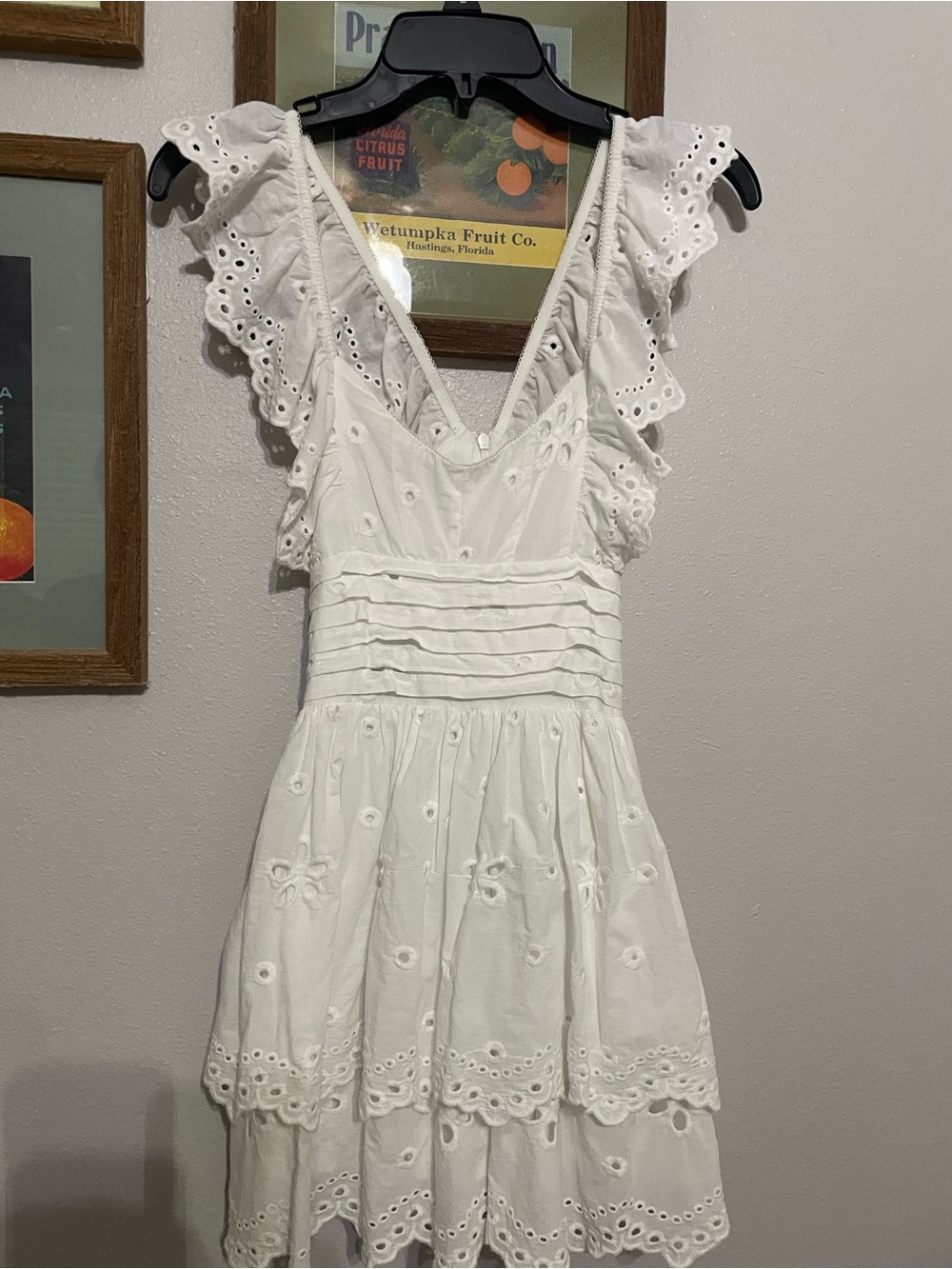 Altar'd State White Eyelet Ruffle Mini Dress